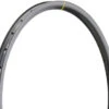 Mavic XC C26 Disc 29" Carbon Felge -Mavic 386309